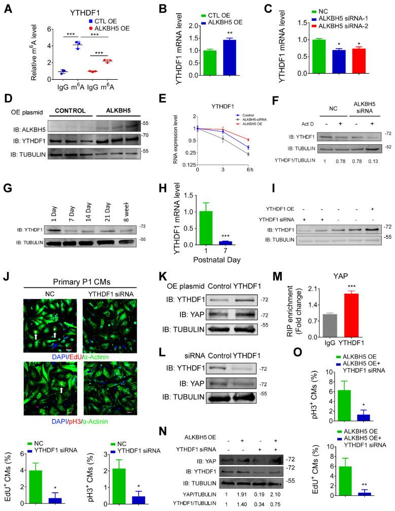 https://cdn.ncbi.nlm.nih.gov/pmc/blobs/97cf/7806463/0851fbfa17d8/thnov11p3000g008.jpg