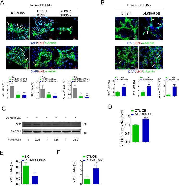 https://cdn.ncbi.nlm.nih.gov/pmc/blobs/97cf/7806463/45b32114f20d/thnov11p3000g009.jpg