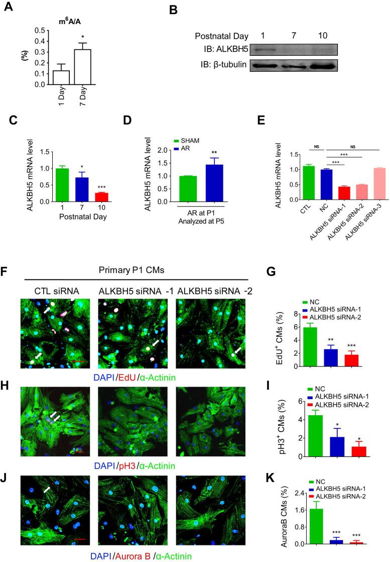 https://cdn.ncbi.nlm.nih.gov/pmc/blobs/97cf/7806463/7cc29d8bacb0/thnov11p3000g001.jpg