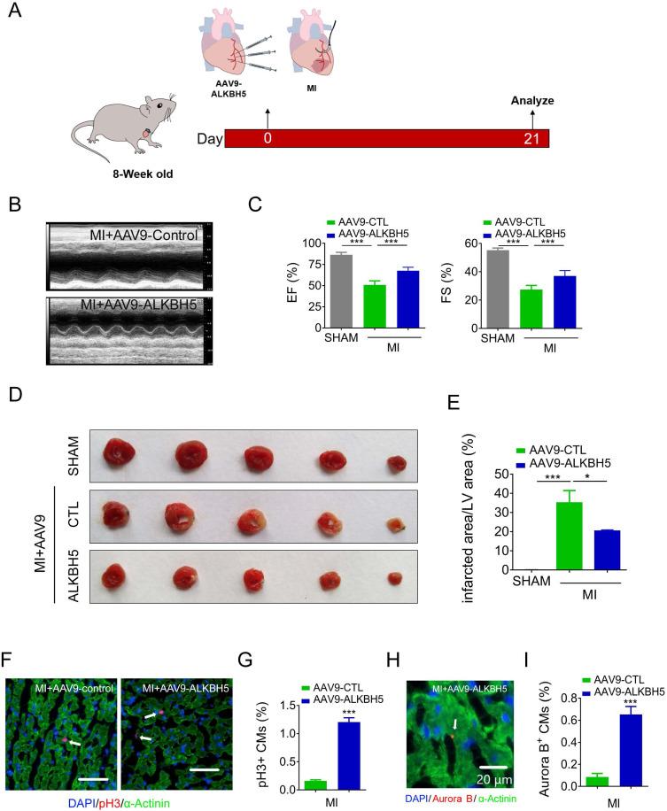 https://cdn.ncbi.nlm.nih.gov/pmc/blobs/97cf/7806463/cff605e79bbc/thnov11p3000g006.jpg