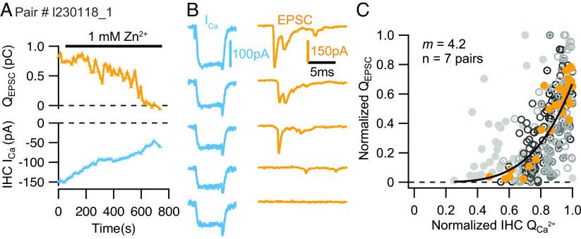 https://cdn.ncbi.nlm.nih.gov/pmc/blobs/97d0/10710057/1122f8bb8f55/pnas.2311539120fig02.jpg