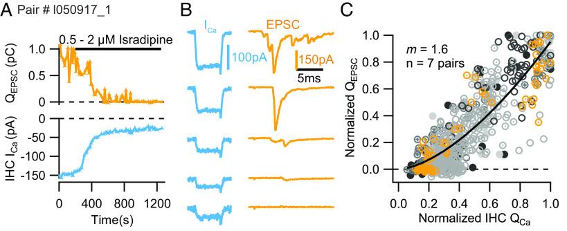https://cdn.ncbi.nlm.nih.gov/pmc/blobs/97d0/10710057/aeb4fab6caf4/pnas.2311539120fig03.jpg