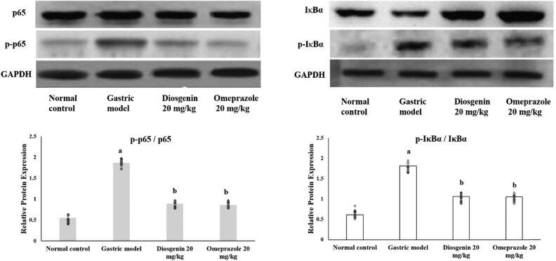 https://cdn.ncbi.nlm.nih.gov/pmc/blobs/97d0/8285990/b4a97c31bf10/j_biol-2021-0075-fig007.jpg