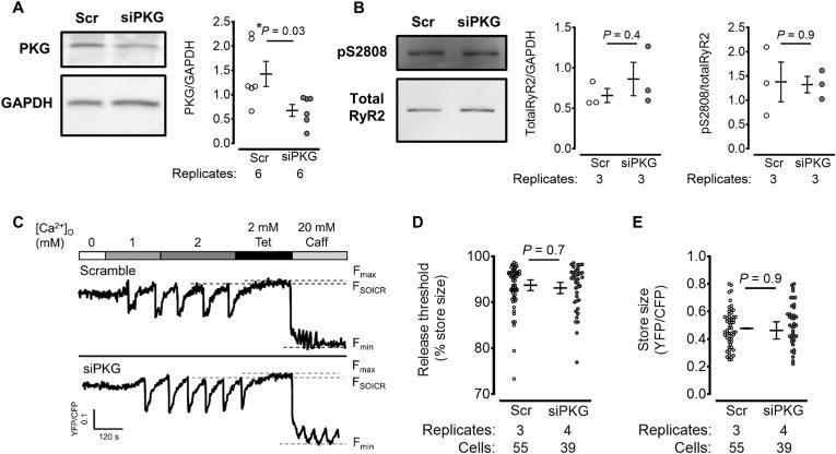 https://cdn.ncbi.nlm.nih.gov/pmc/blobs/97d1/8958330/a86e8987de89/gr4.jpg