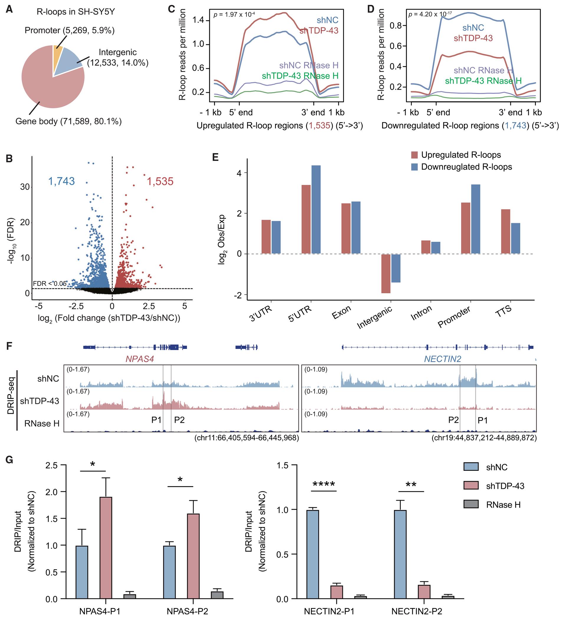https://cdn.ncbi.nlm.nih.gov/pmc/blobs/97d3/10857847/c692af535708/nihms-1961518-f0002.jpg