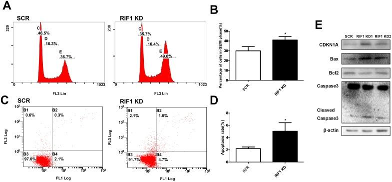https://cdn.ncbi.nlm.nih.gov/pmc/blobs/97d3/5739795/7bfe1144de39/oncotarget-08-107044-g003.jpg