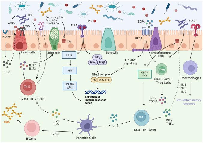 https://cdn.ncbi.nlm.nih.gov/pmc/blobs/97d4/10954893/3cc7adb41ebc/11739_2023_3374_Fig2_HTML.jpg
