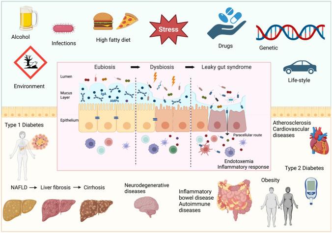 https://cdn.ncbi.nlm.nih.gov/pmc/blobs/97d4/10954893/83d9d53cf564/11739_2023_3374_Fig1_HTML.jpg