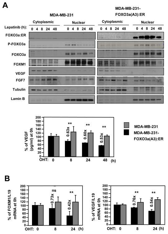 https://cdn.ncbi.nlm.nih.gov/pmc/blobs/97d6/3232453/428d5b648e2e/ukmss-35914-f0004.jpg