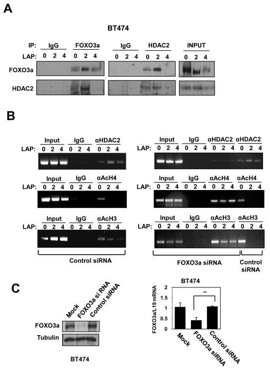 https://cdn.ncbi.nlm.nih.gov/pmc/blobs/97d6/3232453/d56ec66f3829/ukmss-35914-f0010.jpg