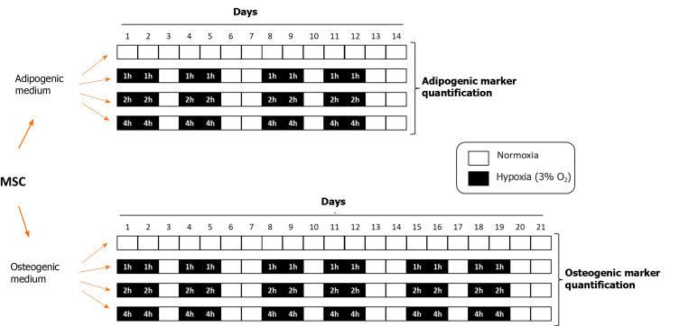 https://cdn.ncbi.nlm.nih.gov/pmc/blobs/97d6/7789125/ca5a1e83f415/WJSC-12-1667-g001.jpg