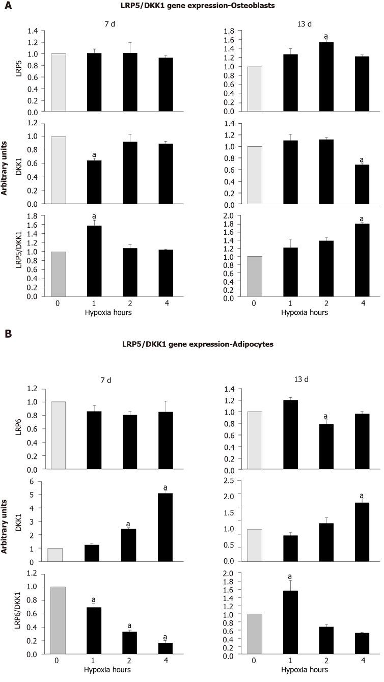 https://cdn.ncbi.nlm.nih.gov/pmc/blobs/97d6/7789125/e48ffb687b9b/WJSC-12-1667-g007.jpg