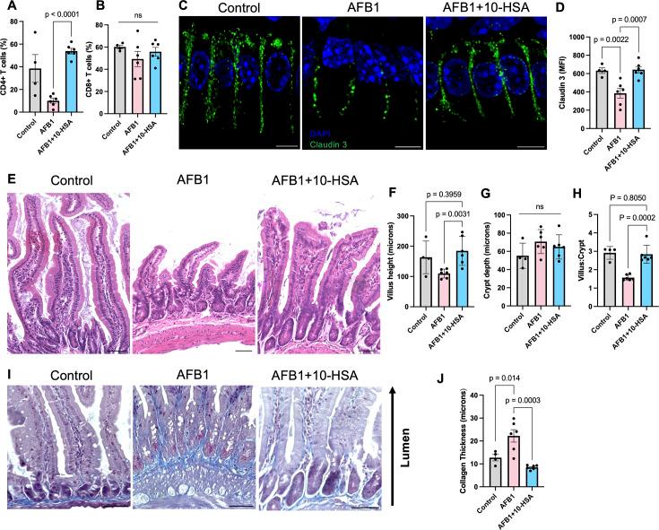 https://cdn.ncbi.nlm.nih.gov/pmc/blobs/97d8/12421843/f2eee06c8017/mbio.01718-25.f004.jpg
