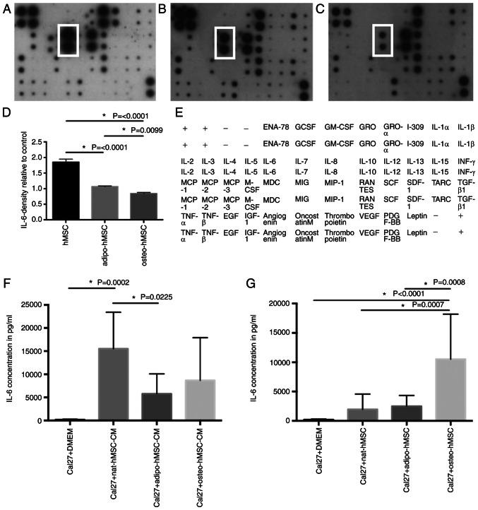 https://cdn.ncbi.nlm.nih.gov/pmc/blobs/97d8/9647781/1ee830646f23/ol-24-06-13570-g06.jpg