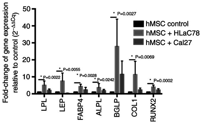 https://cdn.ncbi.nlm.nih.gov/pmc/blobs/97d8/9647781/29fbd280dc5b/ol-24-06-13570-g02.jpg