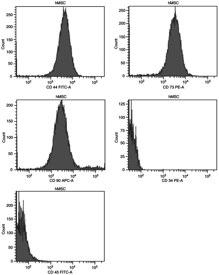 https://cdn.ncbi.nlm.nih.gov/pmc/blobs/97d8/9647781/fb7733674939/ol-24-06-13570-g01.jpg