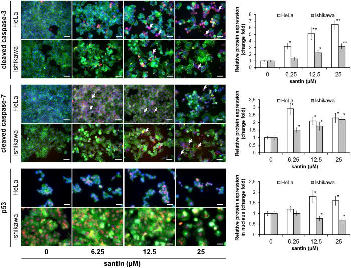 https://cdn.ncbi.nlm.nih.gov/pmc/blobs/97d9/10512030/e111a5ff32b2/fmolb-10-1247536-g004.jpg