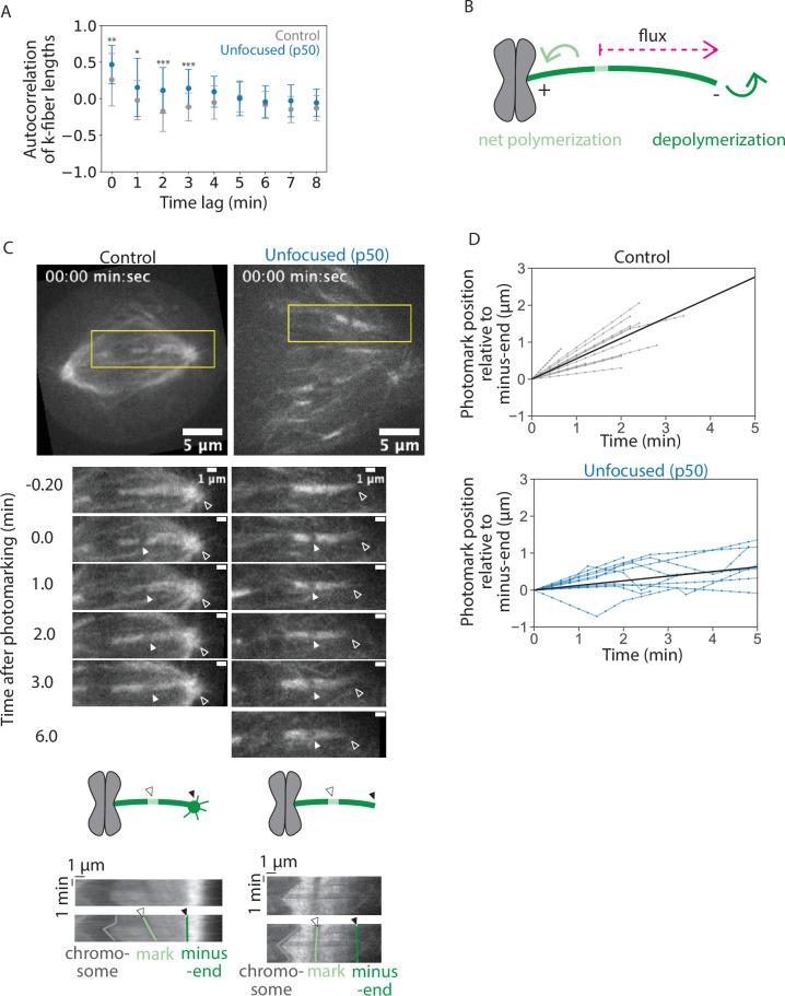 https://cdn.ncbi.nlm.nih.gov/pmc/blobs/97da/10348741/c228f87b0729/elife-85208-fig3.jpg