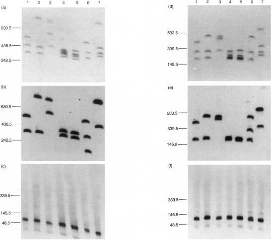 https://cdn.ncbi.nlm.nih.gov/pmc/blobs/97da/1715870/90b0dce88606/ajhg00007-0071-a.jpg