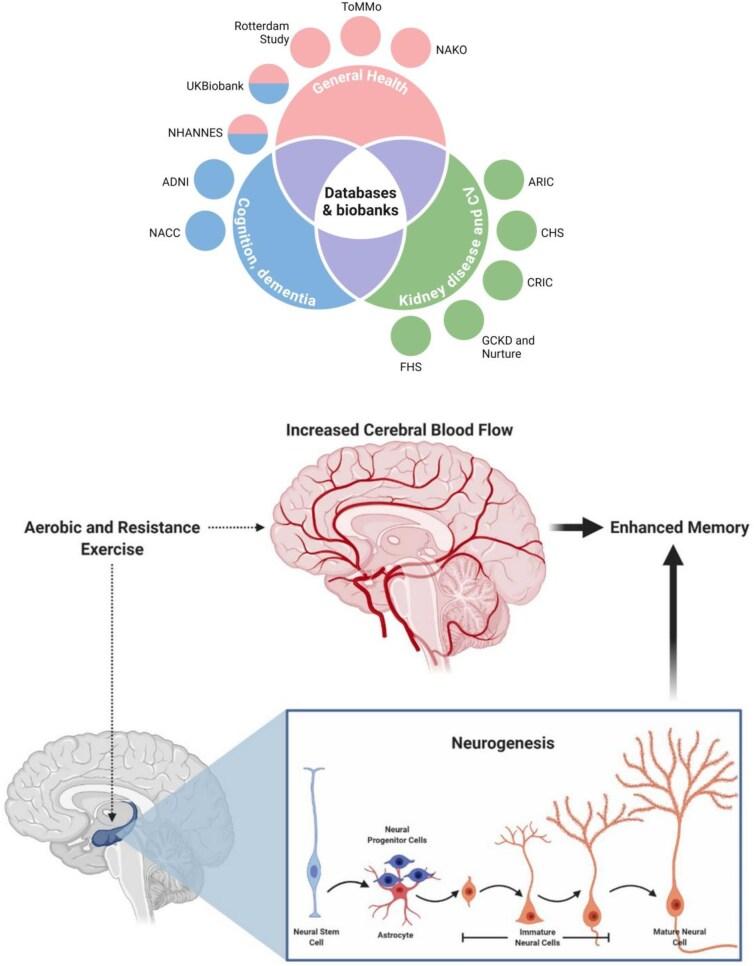 https://cdn.ncbi.nlm.nih.gov/pmc/blobs/97dc/11905747/fb3f8a57ec41/gfae255fig1.jpg