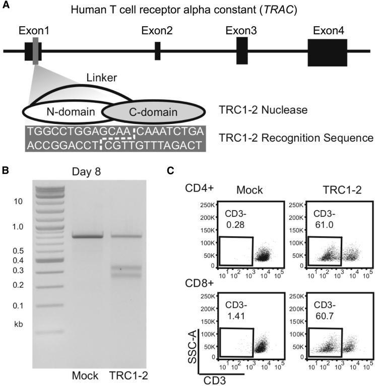 https://cdn.ncbi.nlm.nih.gov/pmc/blobs/97dd/5383629/934659a4fb94/gr1.jpg