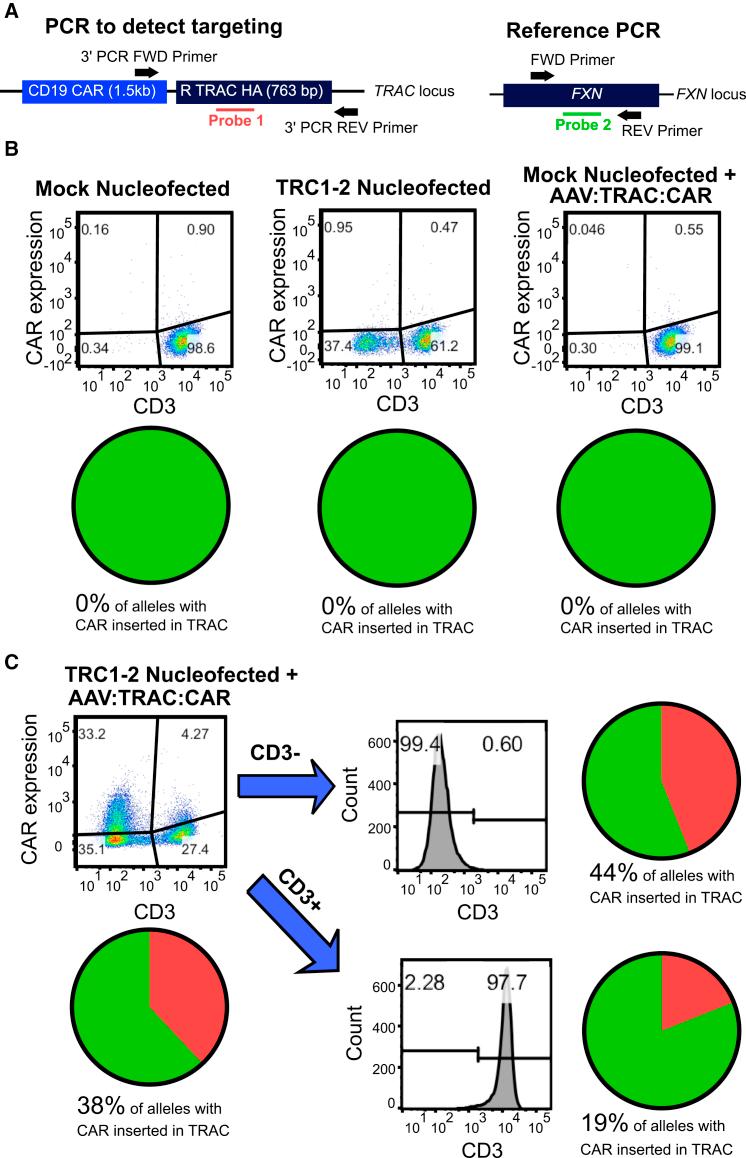https://cdn.ncbi.nlm.nih.gov/pmc/blobs/97dd/5383629/a5625f7efa55/gr4.jpg