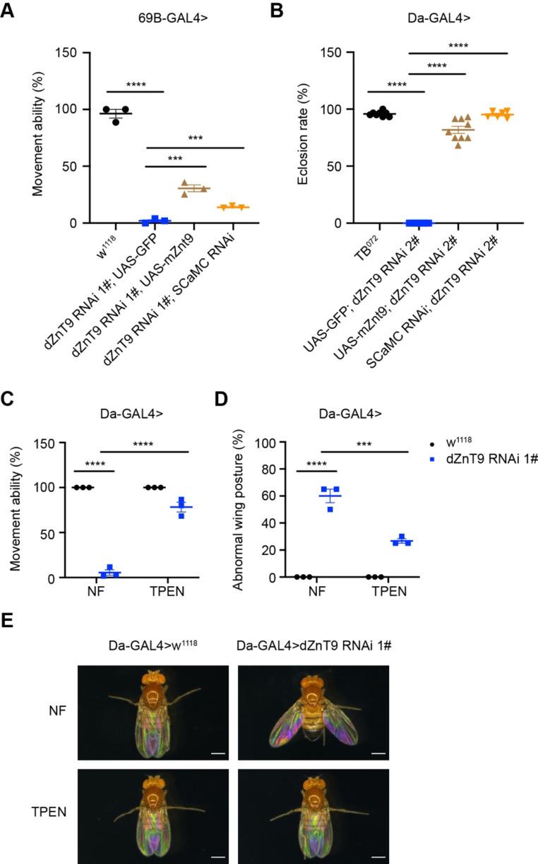 https://cdn.ncbi.nlm.nih.gov/pmc/blobs/97de/11335279/4cddca2168a4/18_2024_5377_Fig3_HTML.jpg