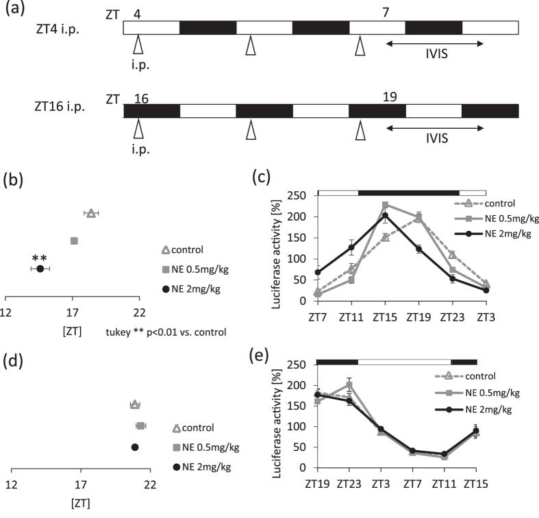 https://cdn.ncbi.nlm.nih.gov/pmc/blobs/97df/5562870/af3dc3ed4854/41598_2017_9438_Fig4_HTML.jpg