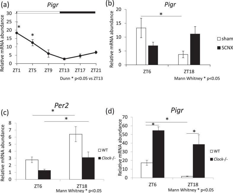 https://cdn.ncbi.nlm.nih.gov/pmc/blobs/97df/5562870/dee33dc53065/41598_2017_9438_Fig5_HTML.jpg