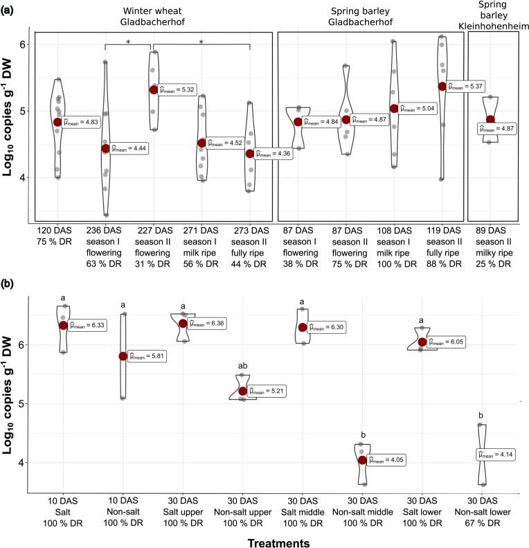 https://cdn.ncbi.nlm.nih.gov/pmc/blobs/97e0/10939331/6393f7de60f5/fiae023fig1.jpg