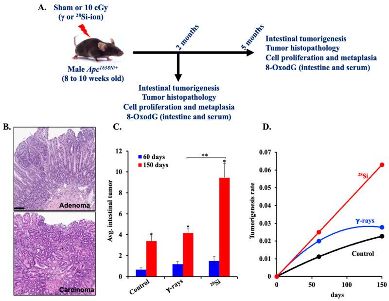 https://cdn.ncbi.nlm.nih.gov/pmc/blobs/97e0/12293654/ae9d44b57850/curroncol-32-00382-g001.jpg