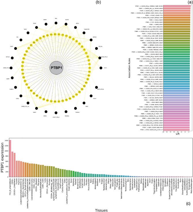 https://cdn.ncbi.nlm.nih.gov/pmc/blobs/97e2/10505163/785d1ead9608/41598_2023_42581_Fig8_HTML.jpg