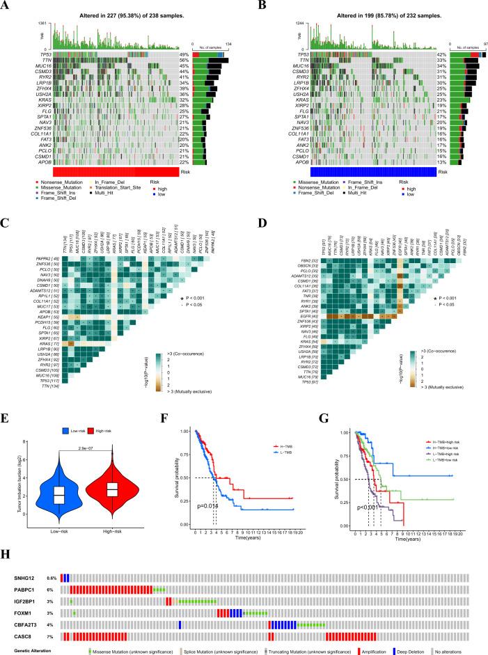 https://cdn.ncbi.nlm.nih.gov/pmc/blobs/97e2/10981664/1de0ac181ddc/41598_2024_57910_Fig6_HTML.jpg