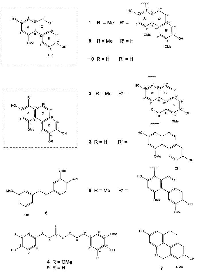 https://cdn.ncbi.nlm.nih.gov/pmc/blobs/97e3/7922108/5ec763903db3/plants-10-00385-g002.jpg