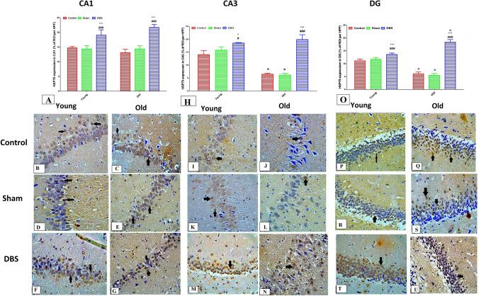 https://cdn.ncbi.nlm.nih.gov/pmc/blobs/97e4/11825635/2837882dbec5/424_2024_3059_Fig6_HTML.jpg