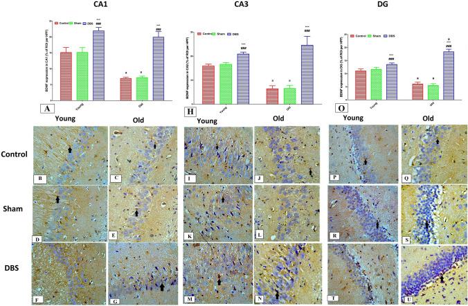 https://cdn.ncbi.nlm.nih.gov/pmc/blobs/97e4/11825635/7a5ce3702bb6/424_2024_3059_Fig7_HTML.jpg