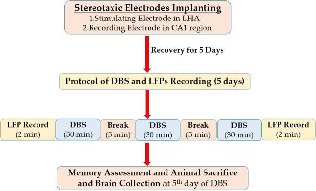 https://cdn.ncbi.nlm.nih.gov/pmc/blobs/97e4/11825635/d14a46d37c18/424_2024_3059_Fig1_HTML.jpg
