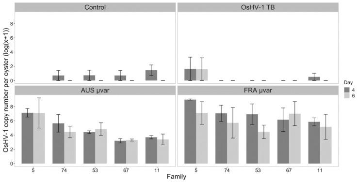https://cdn.ncbi.nlm.nih.gov/pmc/blobs/97e4/7766980/e1760b38b7da/pathogens-09-01057-g006.jpg