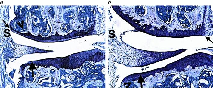 https://cdn.ncbi.nlm.nih.gov/pmc/blobs/97e4/8632988/6451ad549fbb/41598_2021_2568_Fig7_HTML.jpg
