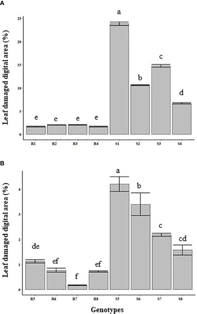https://cdn.ncbi.nlm.nih.gov/pmc/blobs/97e4/9637924/2a4a6c516e2a/fpls-13-976375-g003.jpg