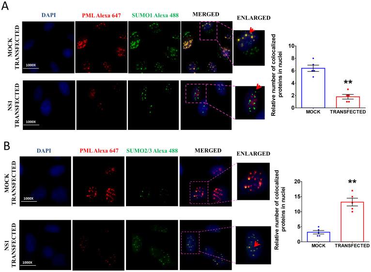 https://cdn.ncbi.nlm.nih.gov/pmc/blobs/97e9/10760828/e5d089ca82e5/pone.0295522.g008.jpg