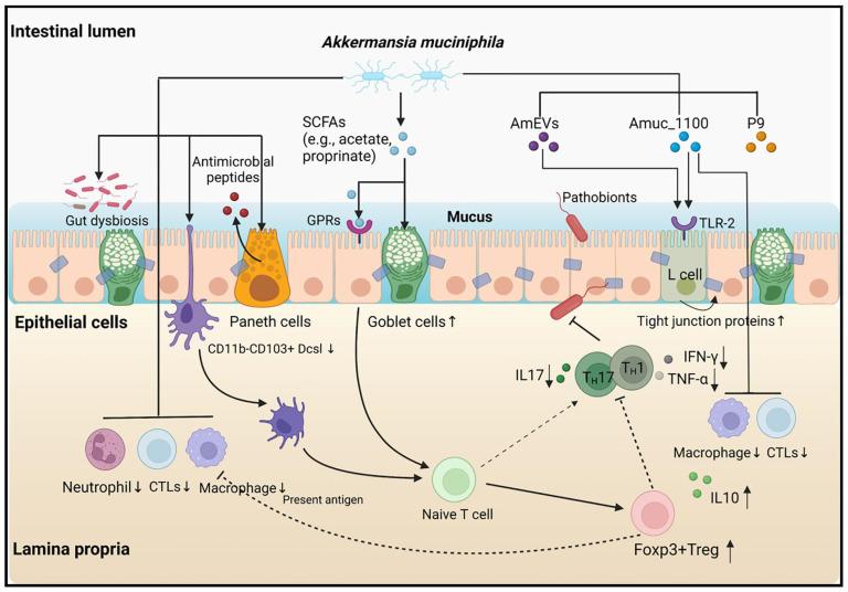 https://cdn.ncbi.nlm.nih.gov/pmc/blobs/97ea/11510203/0b42e9196adf/nutrients-16-03440-g001.jpg