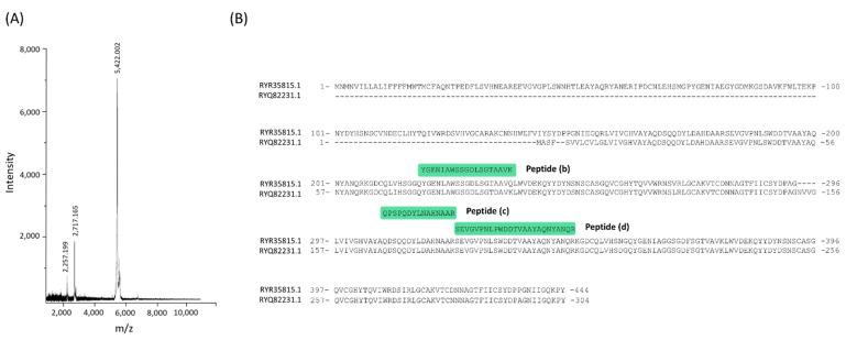 https://cdn.ncbi.nlm.nih.gov/pmc/blobs/97ec/8399481/8d64ec6e0fbb/pharmaceutics-13-01153-g003.jpg