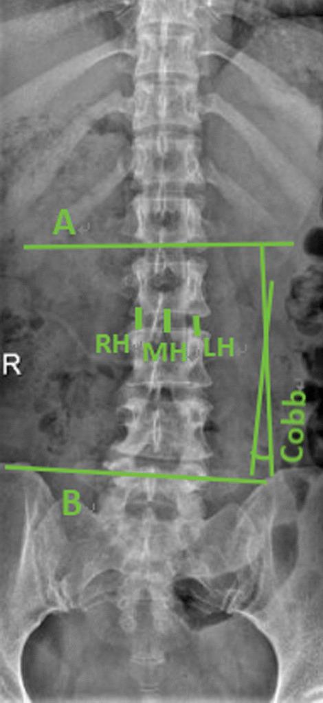 https://cdn.ncbi.nlm.nih.gov/pmc/blobs/97ef/10826027/c74b3fcecbbd/13018_2024_4531_Fig1_HTML.jpg