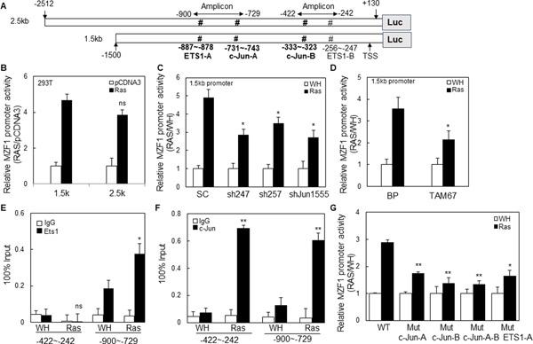 https://cdn.ncbi.nlm.nih.gov/pmc/blobs/97ef/8758531/3068651b6082/nihms-1752909-f0006.jpg