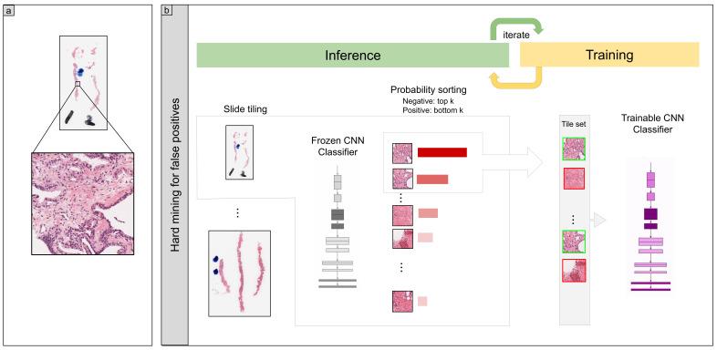 https://cdn.ncbi.nlm.nih.gov/pmc/blobs/97f2/8947489/69d7a9345f67/diagnostics-12-00768-g001.jpg