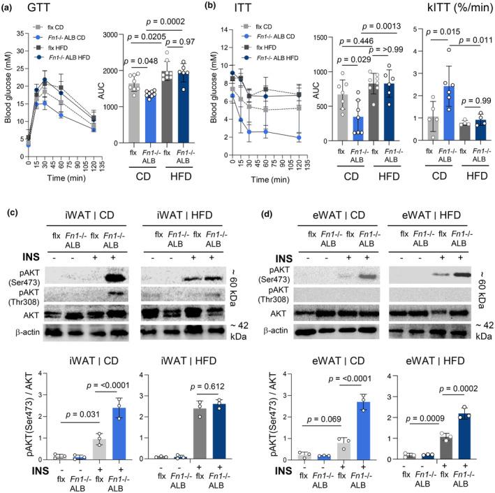 https://cdn.ncbi.nlm.nih.gov/pmc/blobs/97f3/11272447/b938dc4de0f0/PHY2-12-e16152-g006.jpg