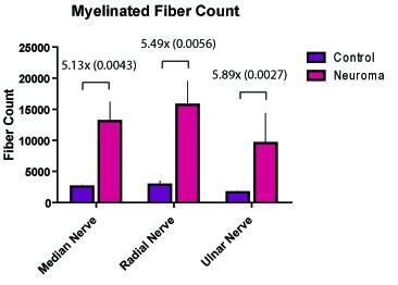 https://cdn.ncbi.nlm.nih.gov/pmc/blobs/97f5/2848653/ecd2bf62b433/1749-7221-5-6-6.jpg