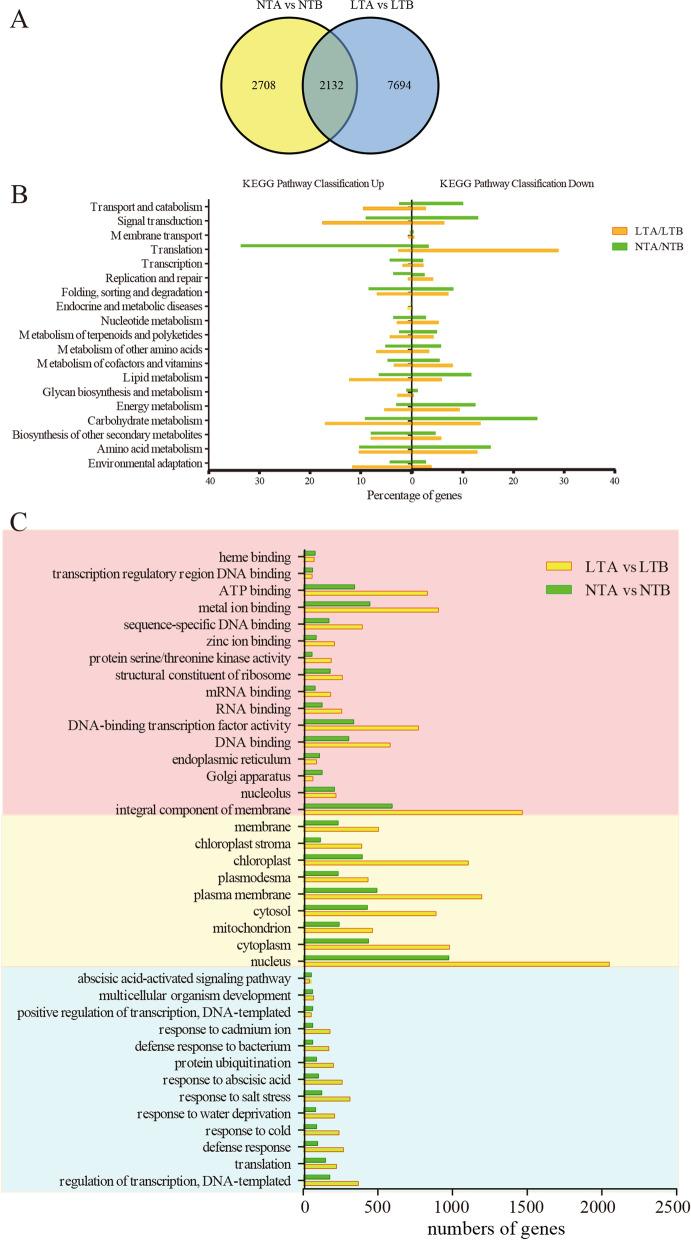 https://cdn.ncbi.nlm.nih.gov/pmc/blobs/97f5/8477495/f1265cfe31f5/12870_2021_3218_Fig7_HTML.jpg