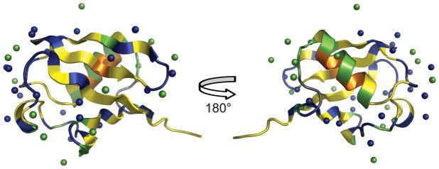 https://cdn.ncbi.nlm.nih.gov/pmc/blobs/97f8/3058360/1eb700a8d815/nihms246534f4.jpg
